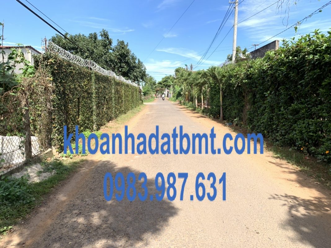 Khoanhadatbmt.com
