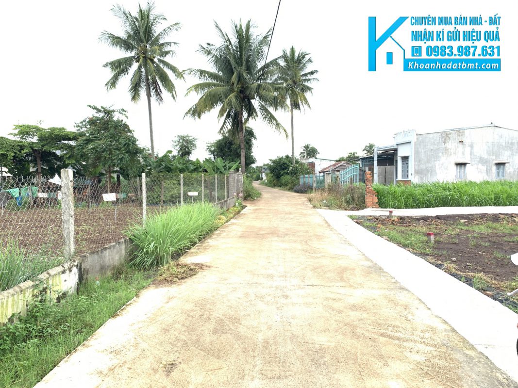 Khoanhadatbmt.com