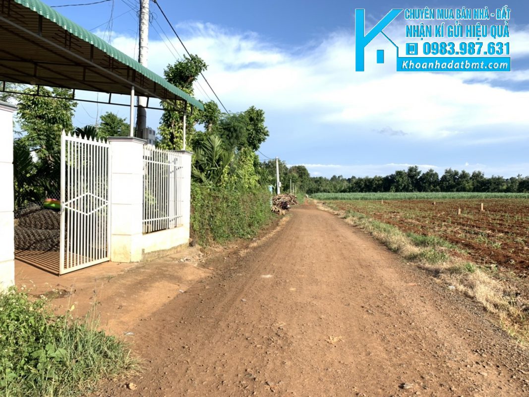 Khoanhadatbmt.com