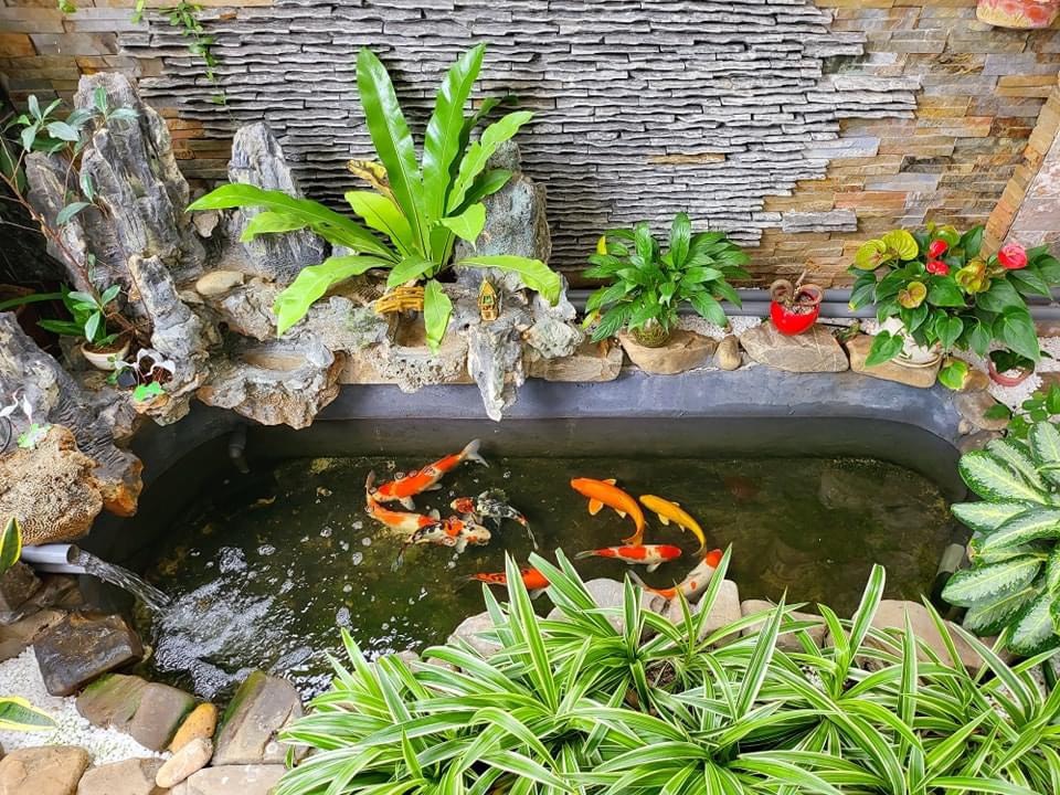 Khoanhadatbmt.com