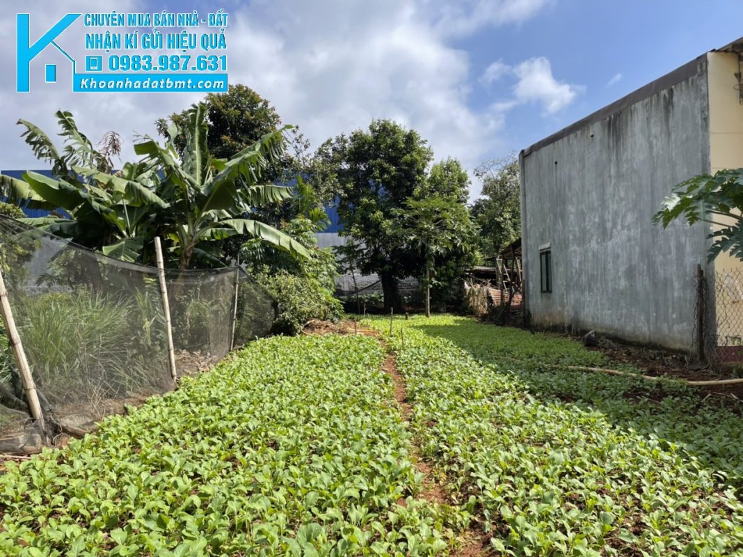 Khoanhadatbmt.com