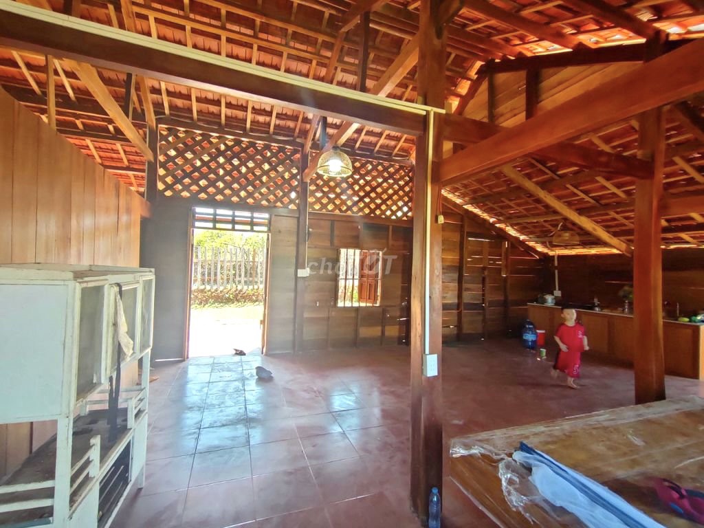 Khoanhadatbmt.com