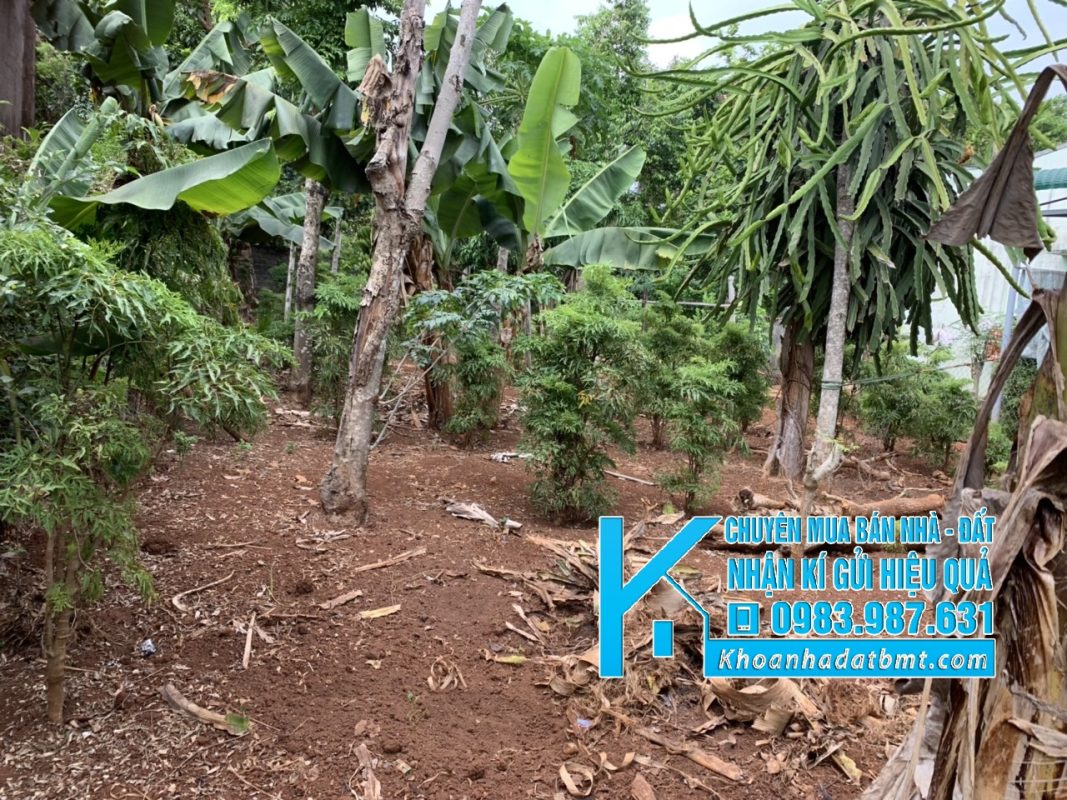 Khoanhadatbmt.com