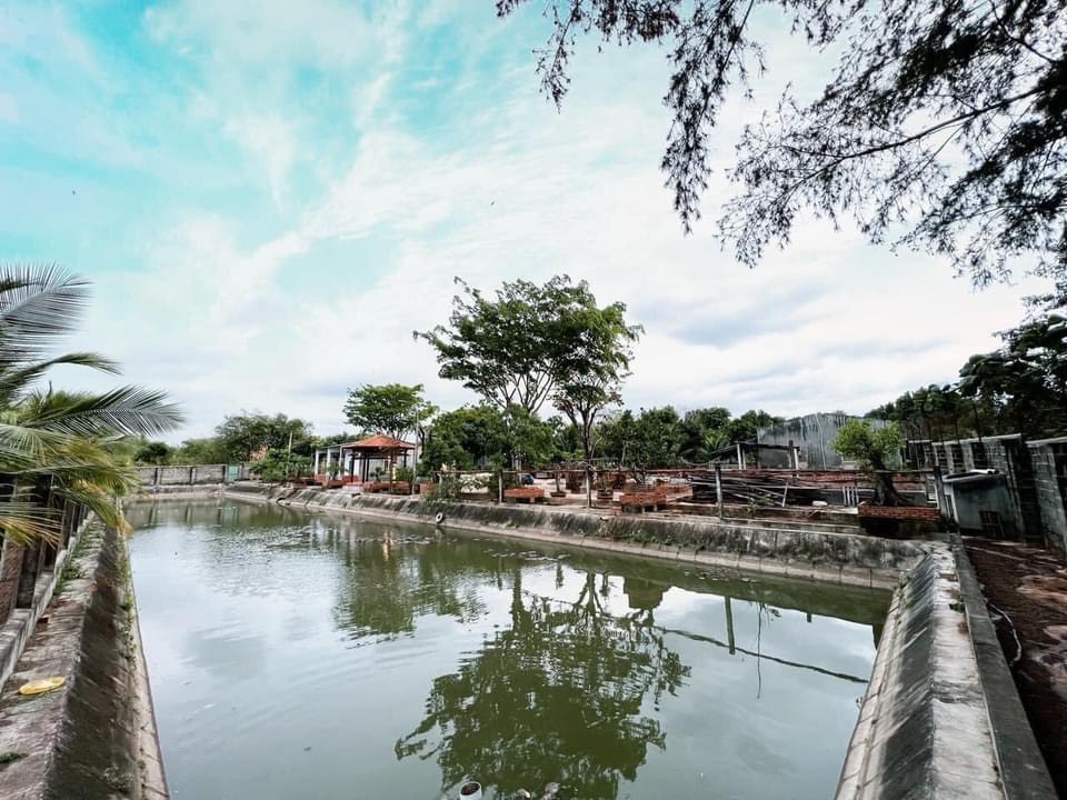 Khoanhadatbmt.com