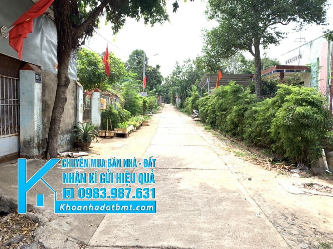 Khoanhadatbmt.com