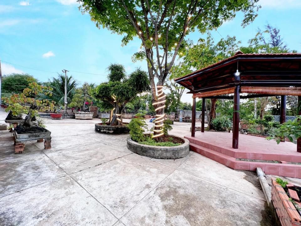 Khoanhadatbmt.com