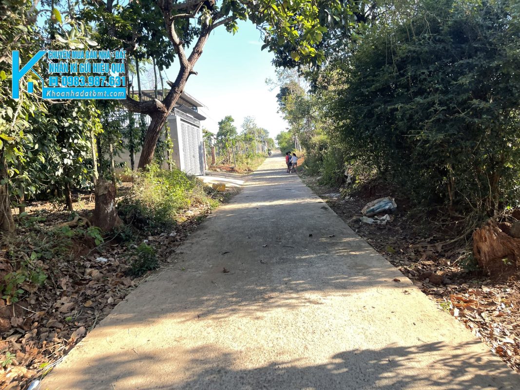Khoanhadatbmt.com