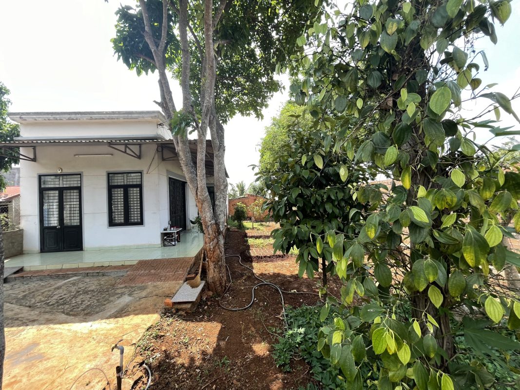 Khoanhadatbmt.com