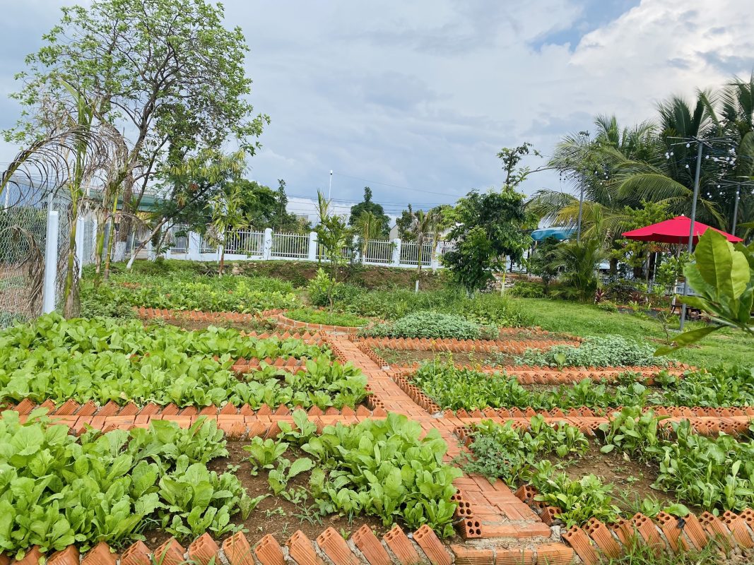 Khoanhadatbmt.com