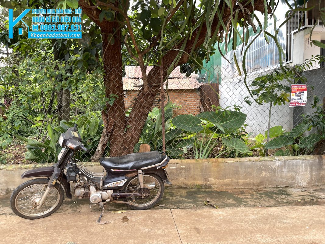 Khoanhadatbmt.com