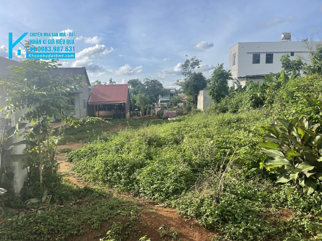 Khoanhadatbmt.com