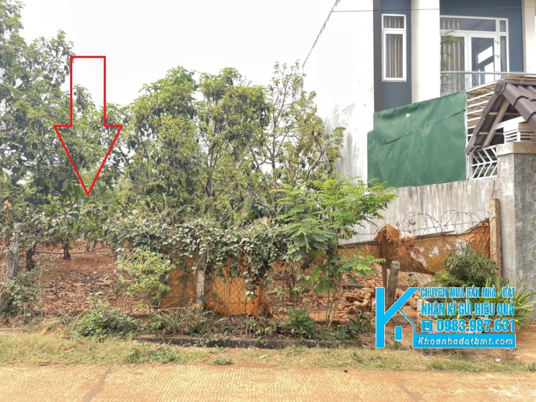 Khoanhadatbmt.com