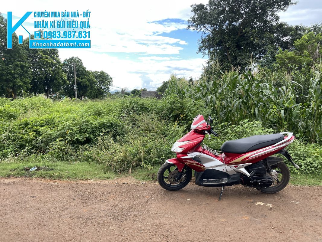Khoanhadatbmt.com