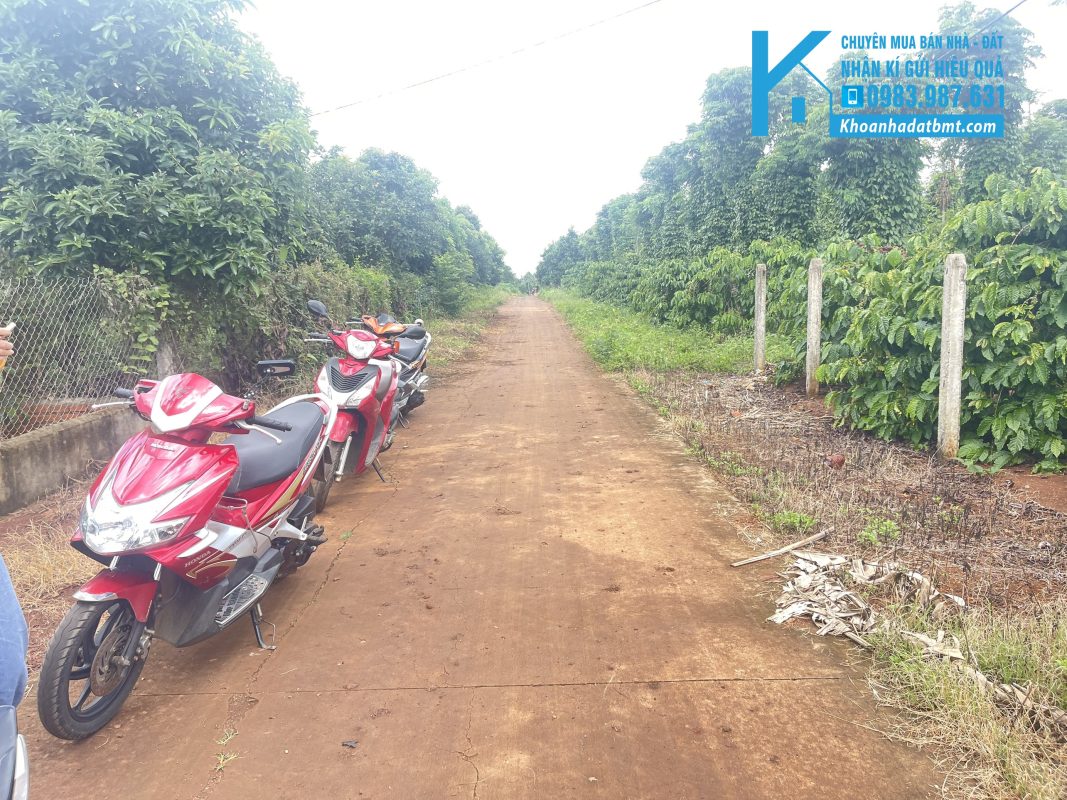Khoanhadatbmt.com