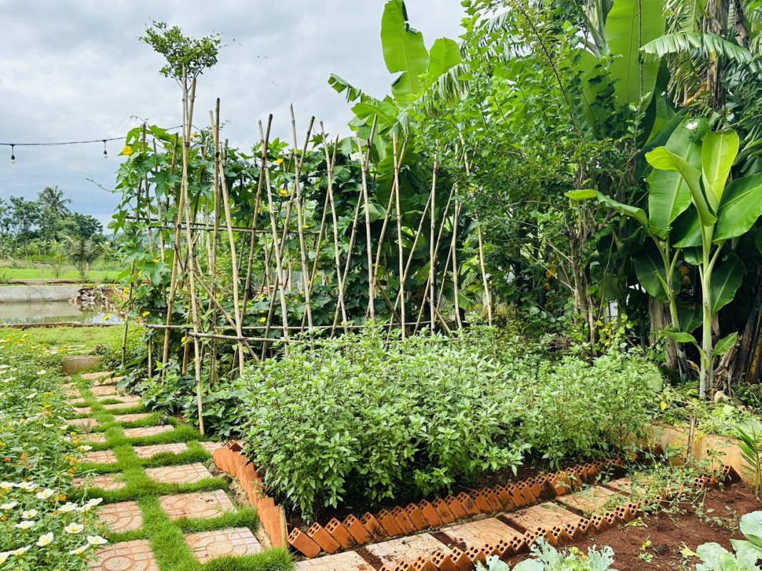 Khoanhadatbmt.com