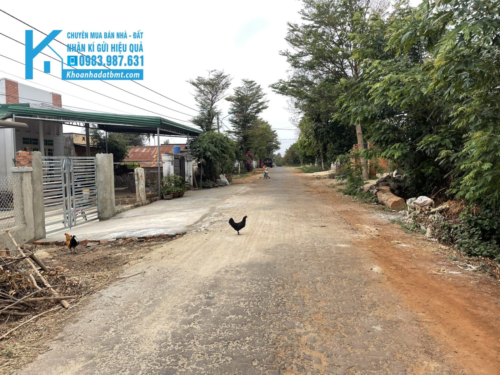 ?Lô TC 10*32m,Đường A1,Phạm Ngũ Lão, thôn 6,gần Kiên Long Bank,nhiều lô khác - Hình ảnh 3