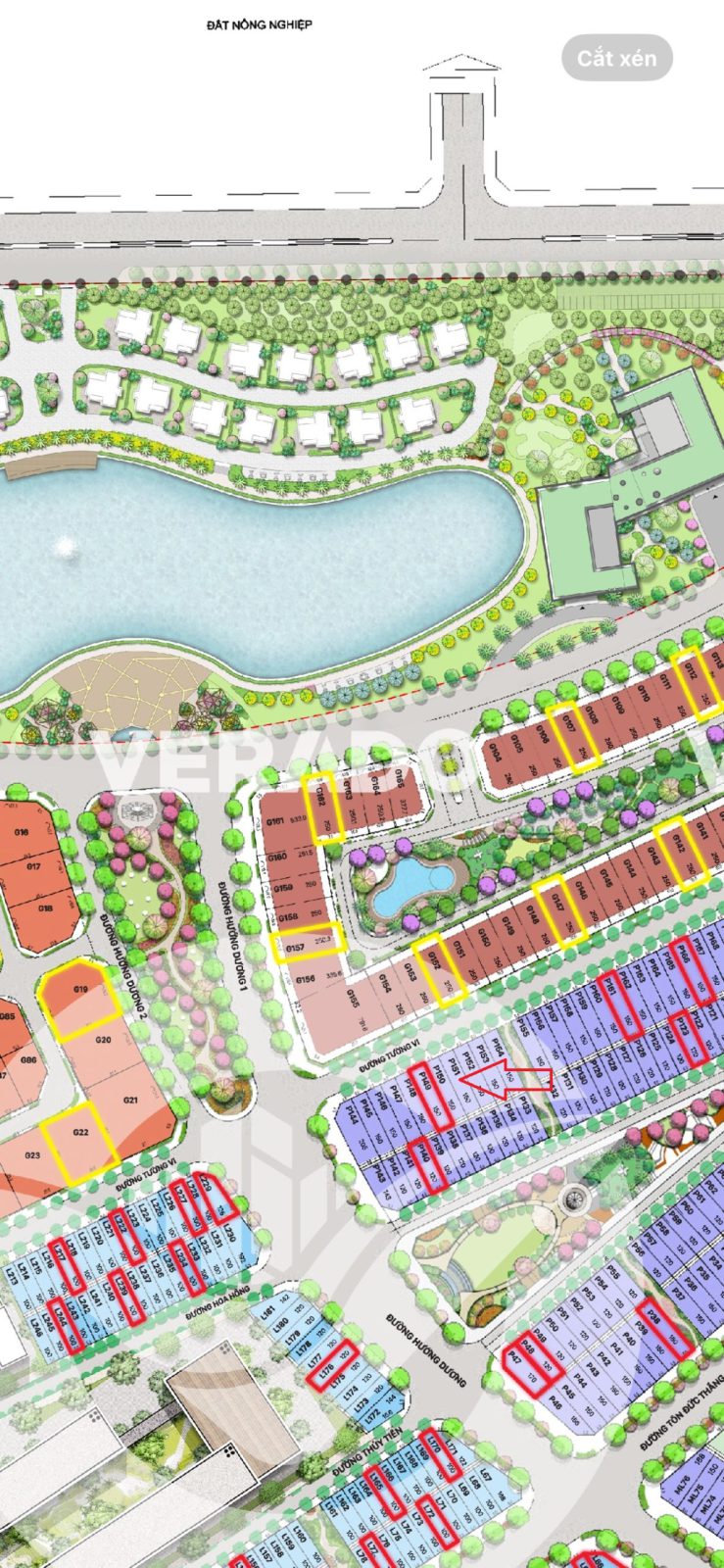 Nhà 4 Mê,6*25m,Khu Đô Thị Eco City,gần Trường Đại Học Buôn Ma Thuột - Hình ảnh 6