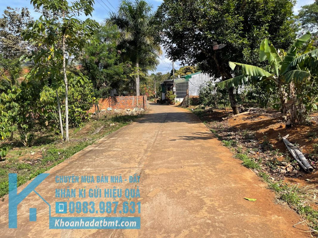 Khoanhadatbmt.com