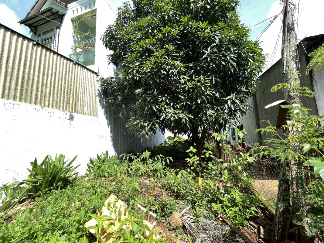 Khoanhadatbmt.com