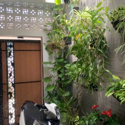 💥Nhà Mê,TC 5,5*14,5m(nở hậu 9m) hẻm Đường B,trong Vành ĐaI,gần Phạm Ngũ Lão,gần chợ