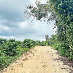 5 lô liền kề hàng đầu tư, cách hồ Eakao chỉ 1km