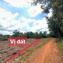 💎 2 Lô Tc100% 5x45m mặt tiền đg Qh32m, EaNa