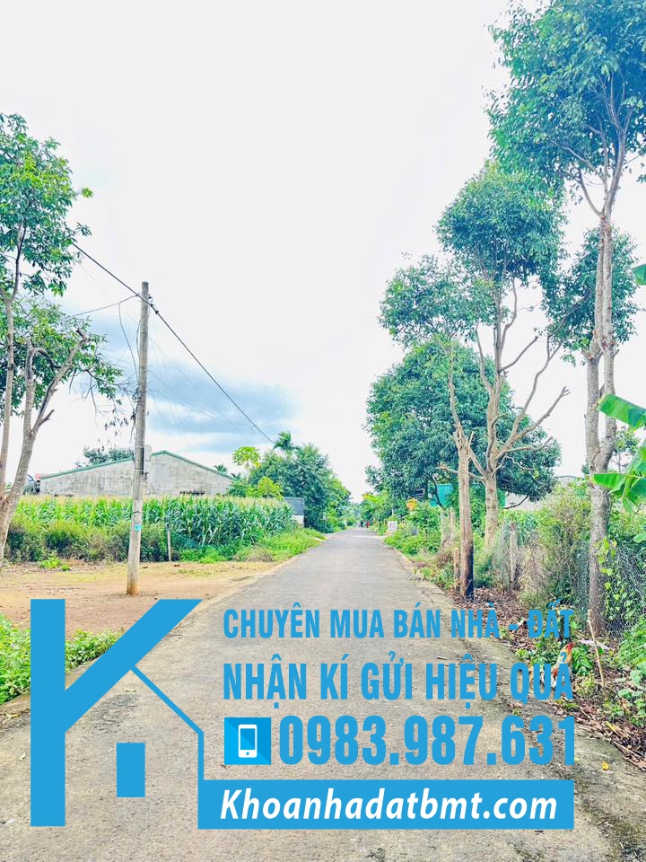Khoanhadatbmt.com