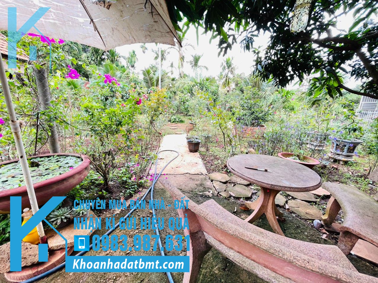 💥2 Lô TC 5*30m,hẻm Nguyễn Du,Gần Hồ Eatam,ngay Trung Tâm Phố - Hình ảnh 3