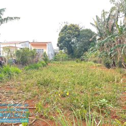 💥Đất TC 10*50m,Đường B2,thôn 6,gần Vành Đai,Phường Buôn Ma Thuột