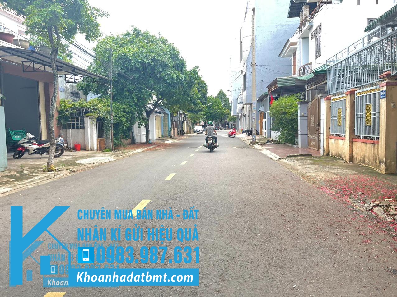 💥Đất TC 4,2*20m,đường Tô Hiệu,Kinh Doanh Tốt,gần Lê Thánh Tông,nhiều lô khác