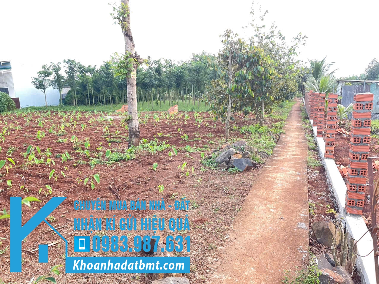 💥Đất TC Full 5*21,8m hẻm Nguyễn Đình Chiểu nối dài,gần Dự Án Trung Nguyên,có nhiều lô khác - Hình ảnh 2