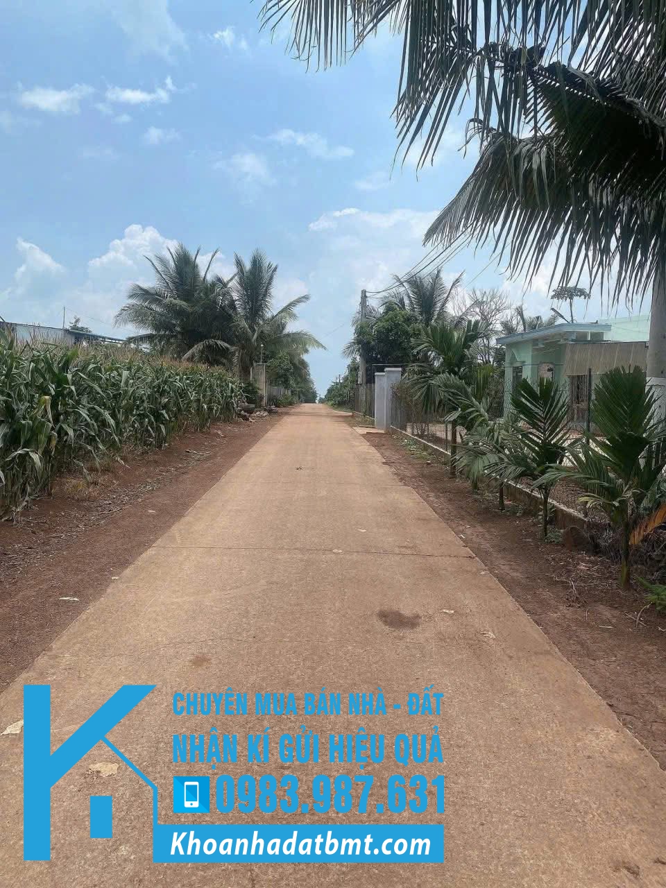 💎 Lô TC 5x32m thôn 18 Eabar, Buôn Đôn - Hình ảnh 3