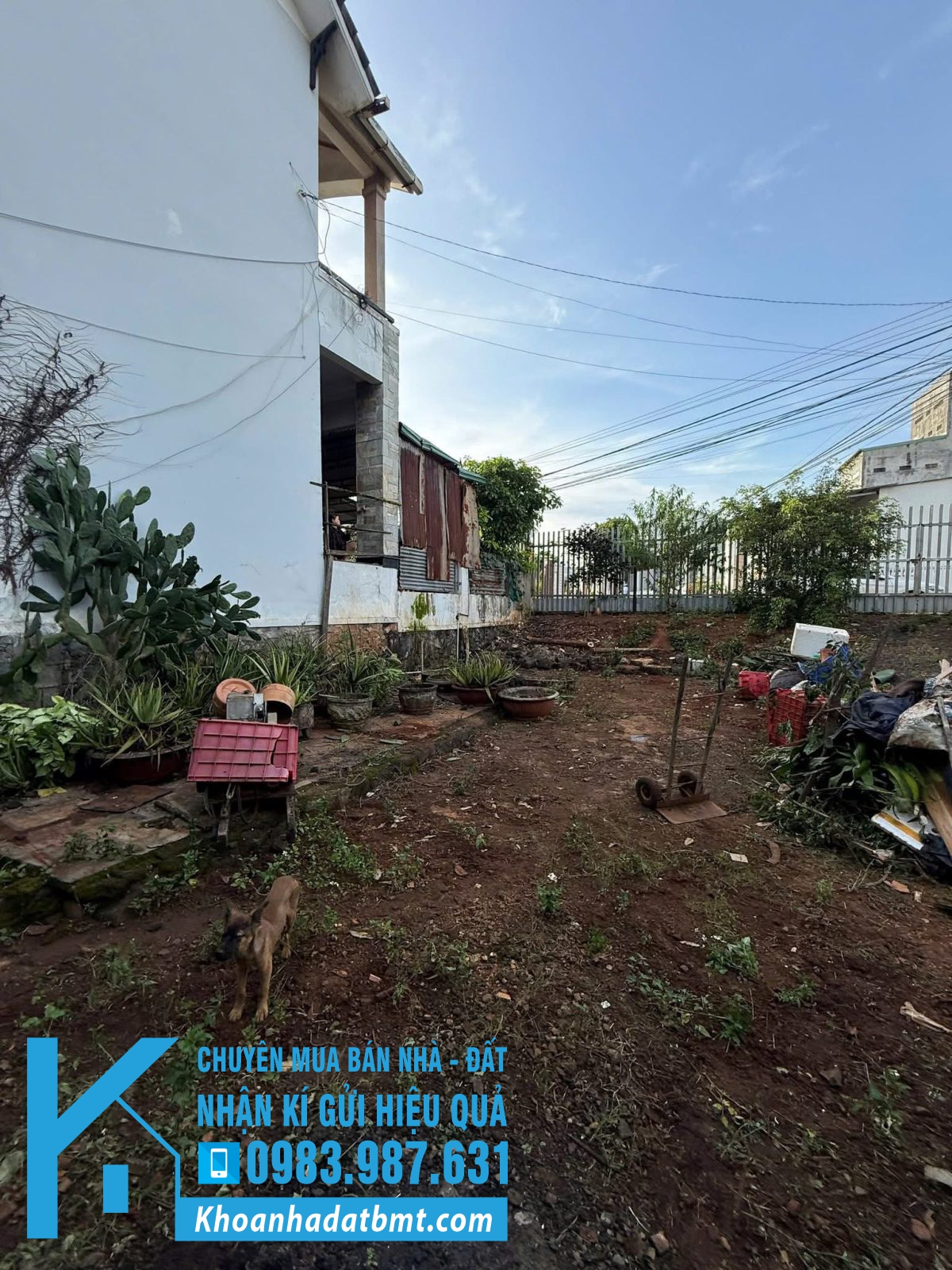 💎 Lô TC 5x75,5m mặt tiền đường Dã Tượng, gần nhà máy Bia - Hình ảnh 2