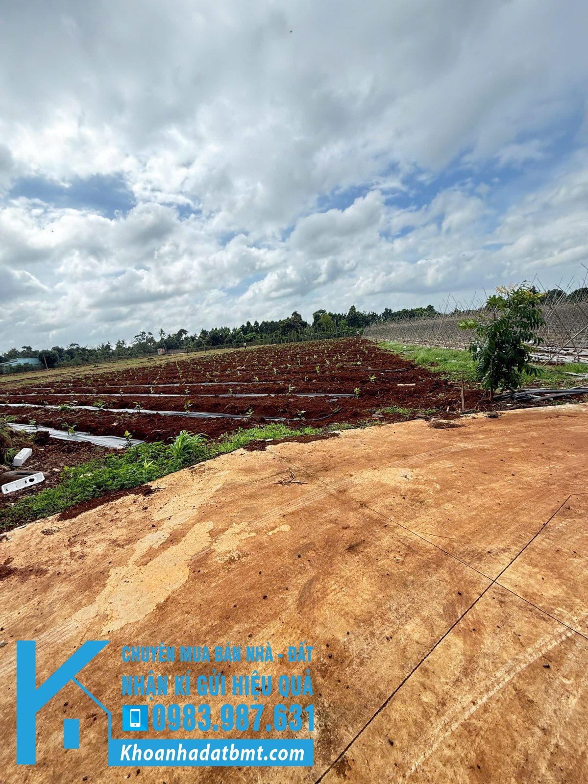 💎 Lô TC100% 5,5x24m tại khối 15, p Khánh Xuân cũ ( p Thành Nhất mới) - Hình ảnh 5