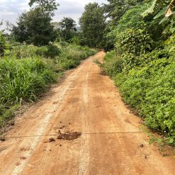 💎 Lô nông nghiệp 20x60m ( tổng 1,35 sào) hẻm cuối Y moan, cách vành đai 2,2km