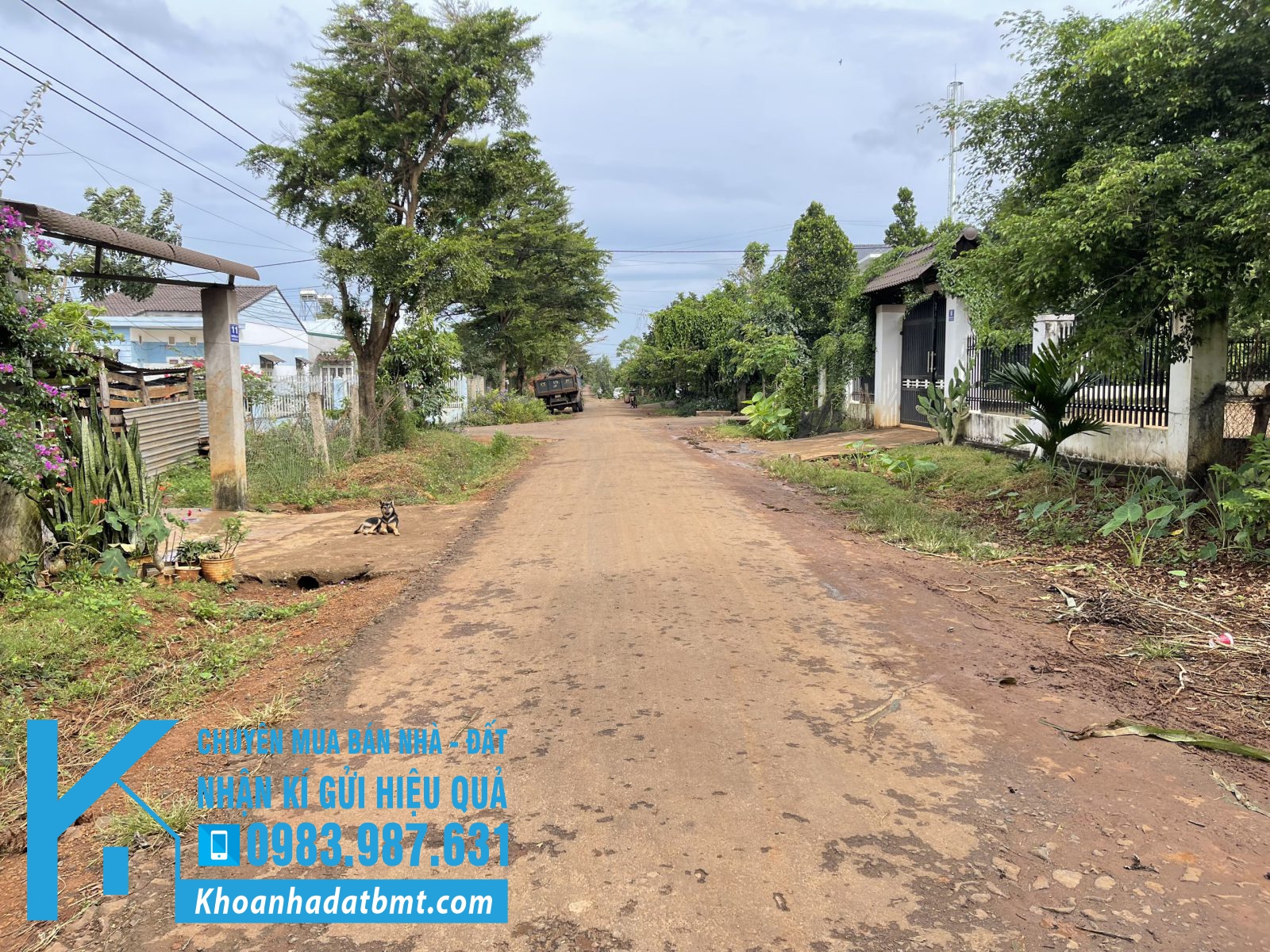 Lô TC 5*21m,Đường A1,Phạm Ngũ Lão, thôn 6,gần Vành Đai,nhiều lô khác - Hình ảnh 2