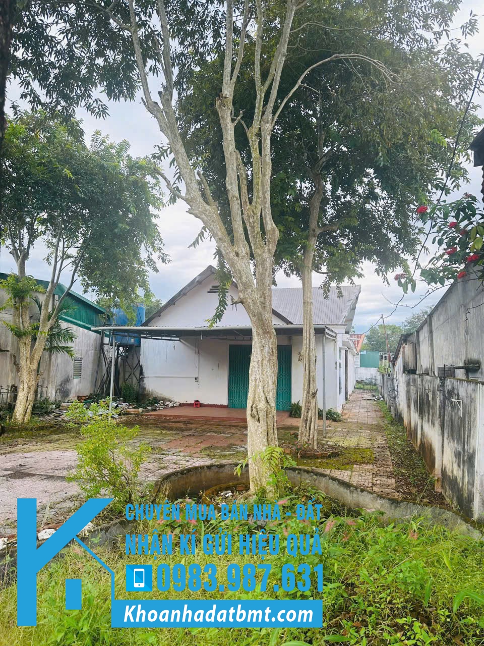 💎 3 Lô liền kề ( 1 lô 5x40 và 2 lô 4,5x55m nở hậu 6,9m) mặt tiền đường Y Wang, Kinh doanh tốt - Hình ảnh 5