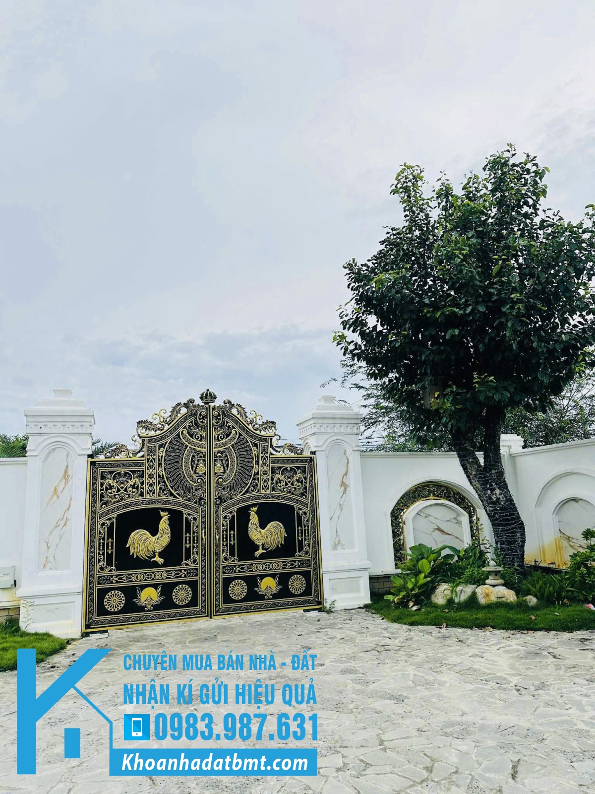 💎 Biệt Thự TC 20x83m bám đường QL27 thuộc Krông Nô- Lăk, giáp ranh Lâm Đồng - Hình ảnh 4