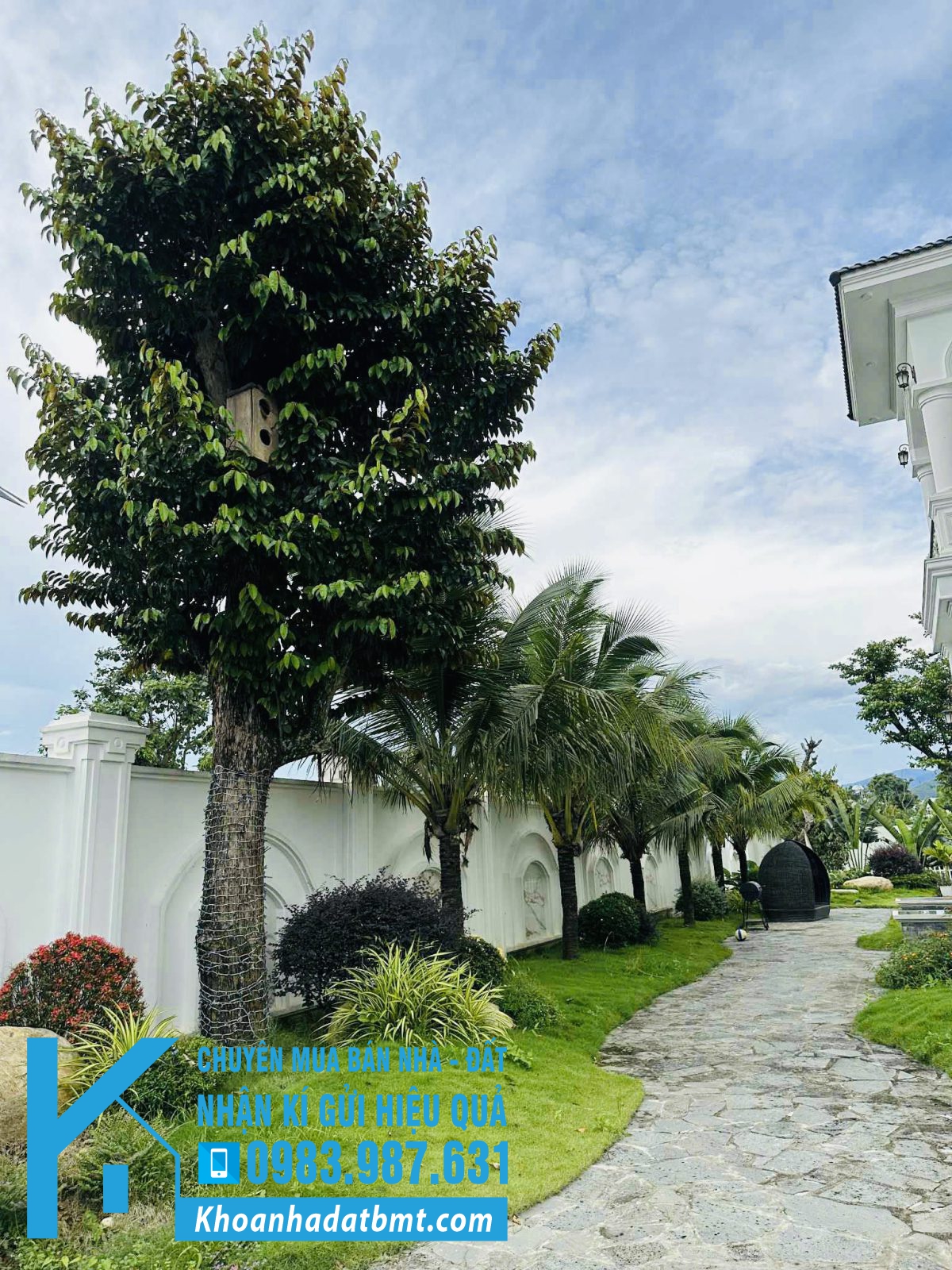 💎 Biệt Thự TC 20x83m bám đường QL27 thuộc Krông Nô- Lăk, giáp ranh Lâm Đồng - Hình ảnh 5