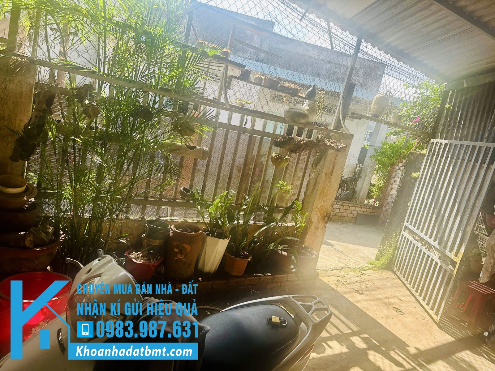 💎 Bán đất tặng nhà 5,3x19,14m Hẻm Đinh Công Tráng, p Buôn Ma Thuột - Hình ảnh 2