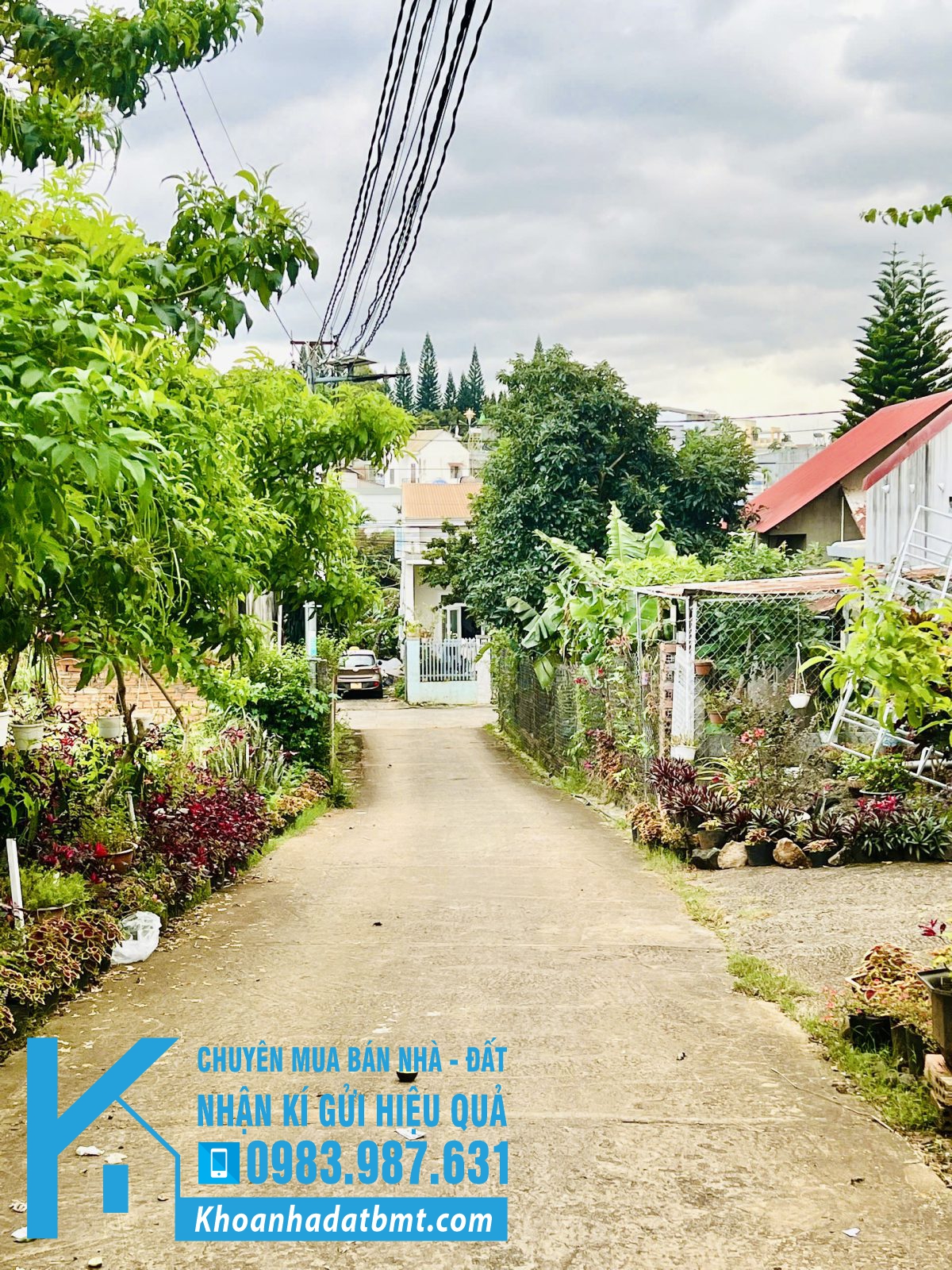 💎 Lô TC 5x20m hẻm Đinh Công Tráng, Cách mặt đường 60m, ngay trung tâm