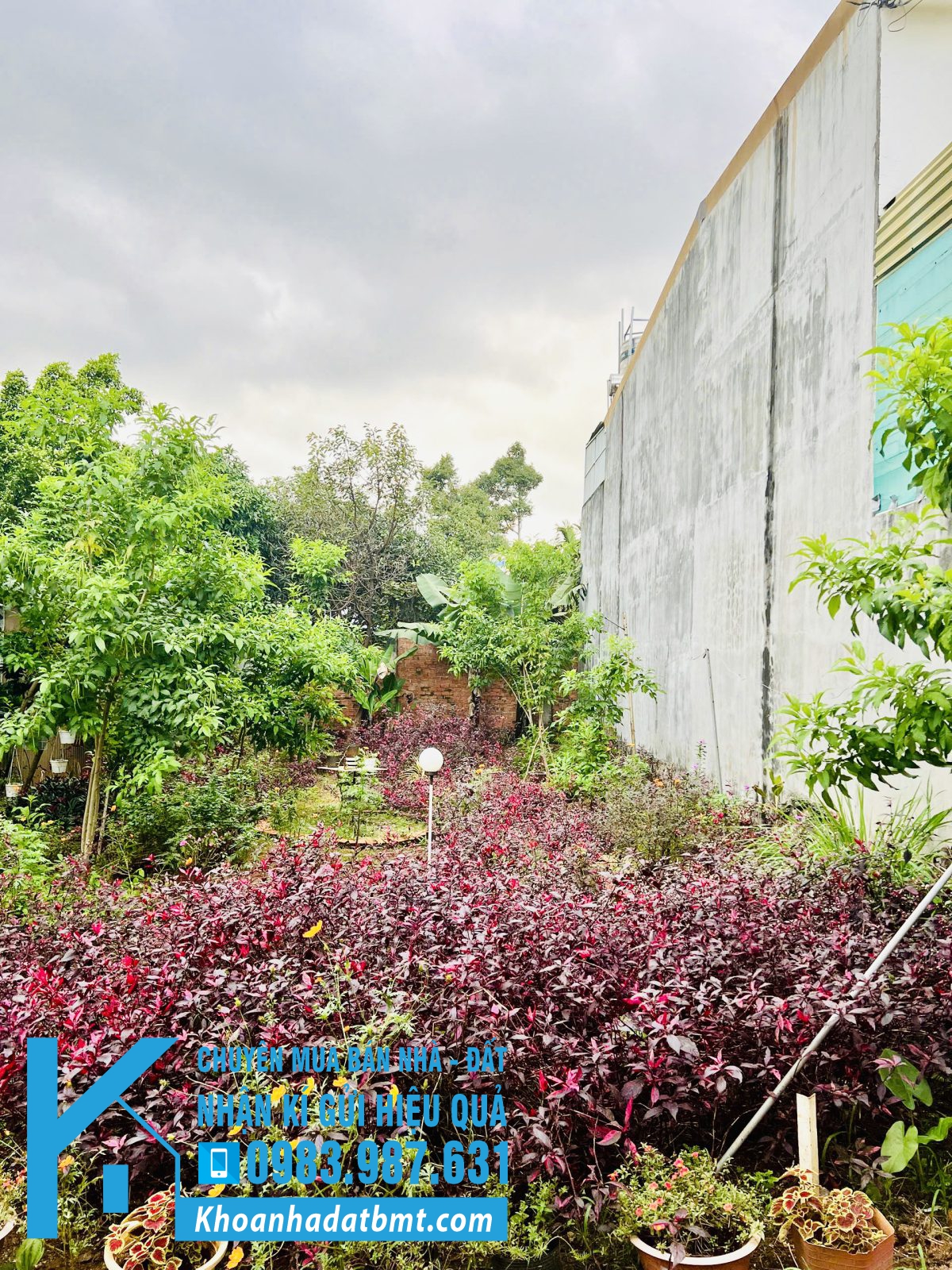 💎 Lô TC 5x20m hẻm Đinh Công Tráng, Cách mặt đường 60m, ngay trung tâm - Hình ảnh 4