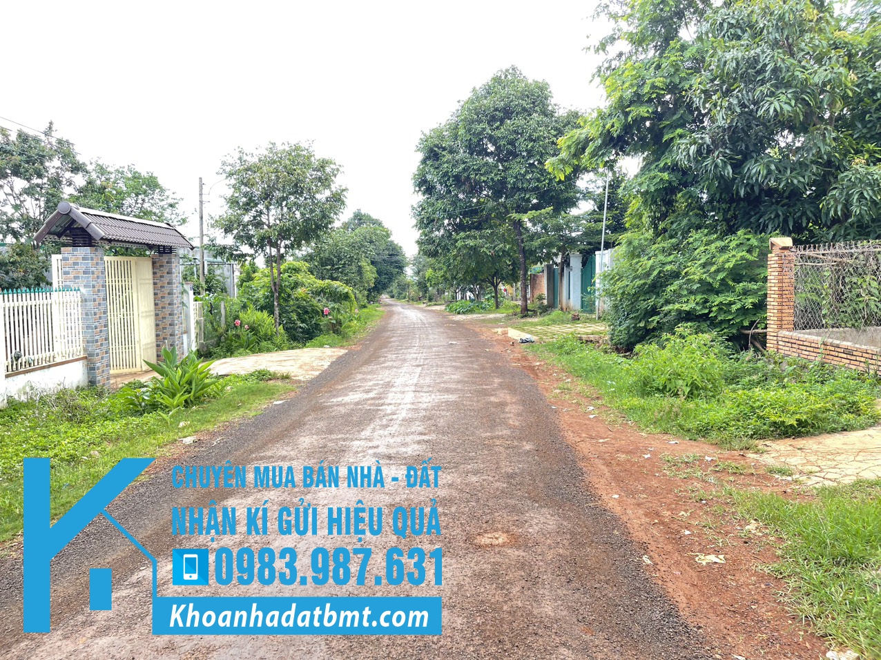 💎 3 Lô TC lk 5x30m đường A1, thôn 4 Cưbua ( qua vành đai) - Phường Buôn Ma Thuột - Hình ảnh 6