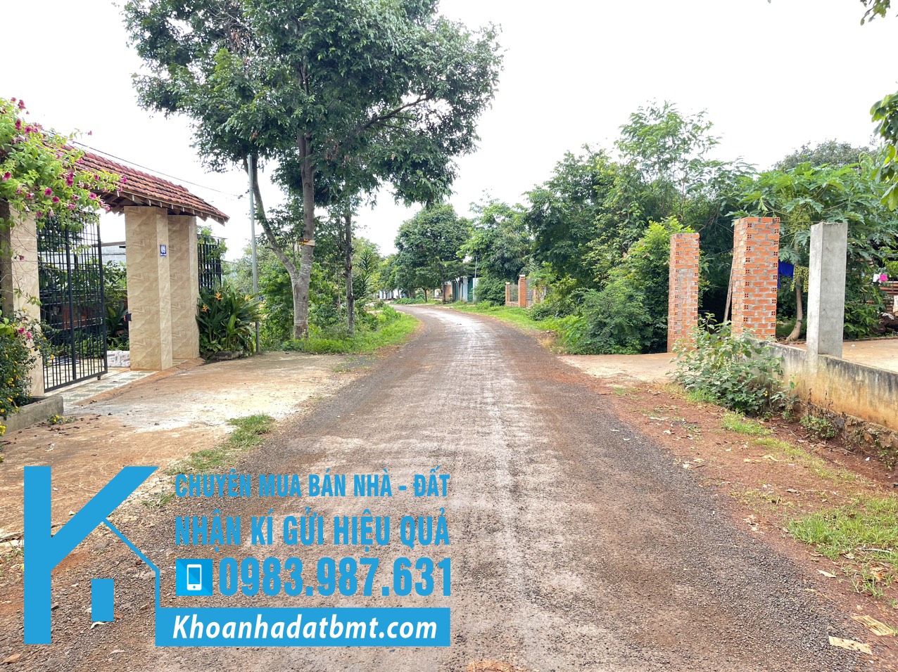 💎 3 Lô TC lk 5x30m đường A1, thôn 4 Cưbua ( qua vành đai) - Phường Buôn Ma Thuột - Hình ảnh 7