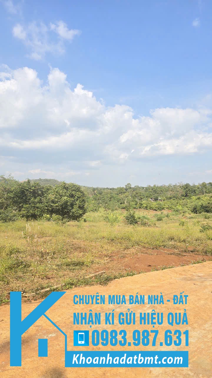 💎 Lốc 27 lô TC 5x30m tại Xã Ea tiêu- Cukuin, giáp ranh với Eakao - Hình ảnh 4