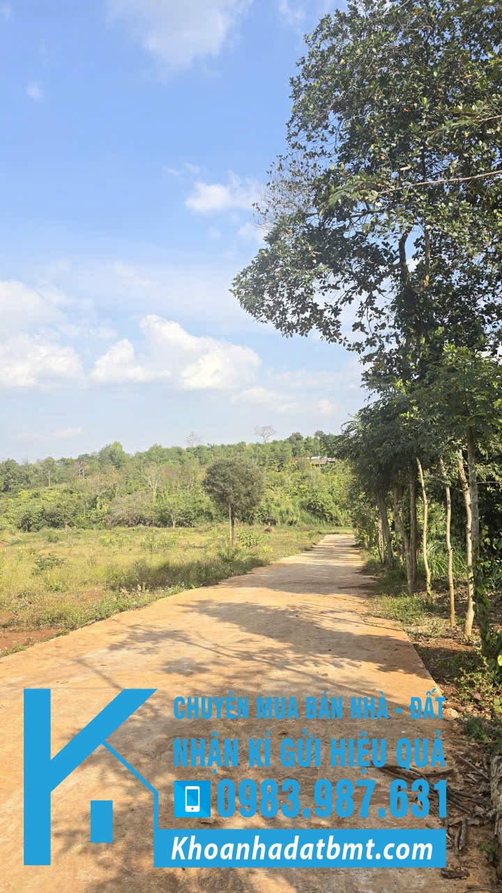 💎 Lốc 27 lô TC 5x30m tại Xã Ea tiêu- Cukuin, giáp ranh với Eakao - Hình ảnh 3