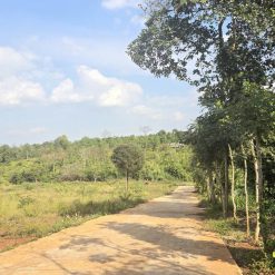 💎 Lốc 27 lô TC 5x30m tại Xã Ea tiêu- Cukuin, giáp ranh với Eakao