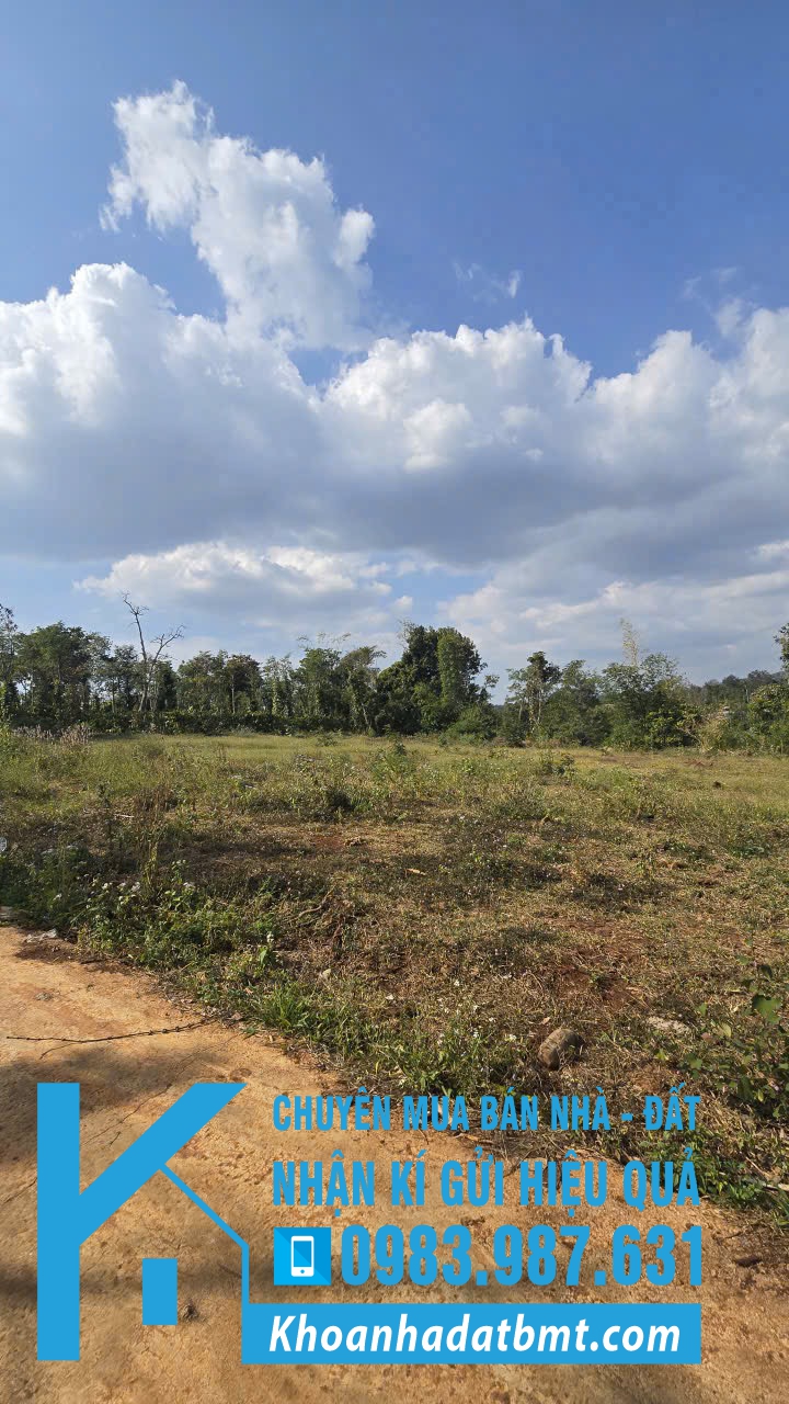 💎 Lốc 27 lô TC 5x30m tại Xã Ea tiêu- Cukuin, giáp ranh với Eakao - Hình ảnh 2