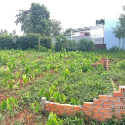 💥Đất TC Full 5*21,8m hẻm Nguyễn Đình Chiểu nối dài,gần Dự Án Trung Nguyên,có nhiều lô khác