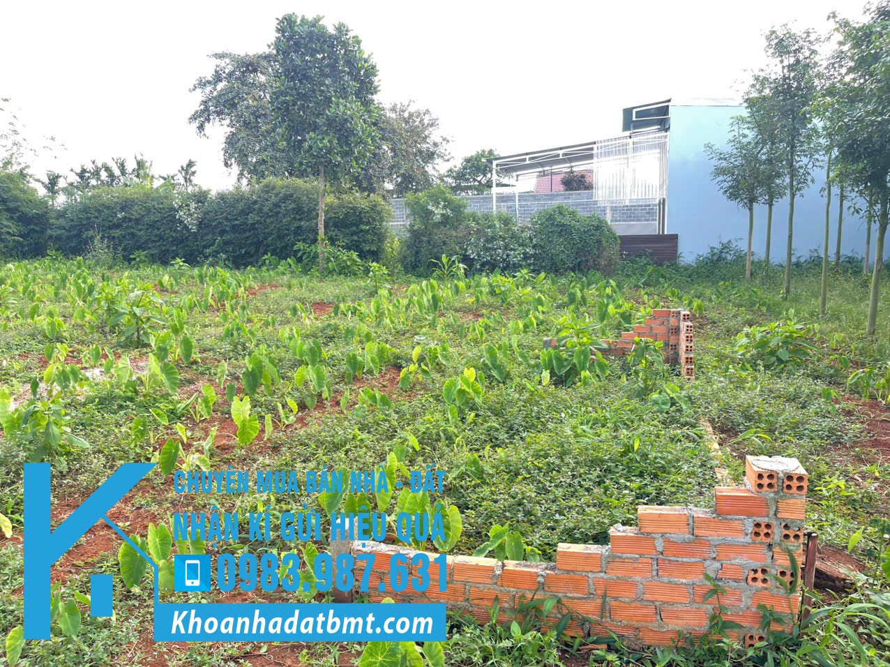 💥Đất TC Full 5*21,8m hẻm Nguyễn Đình Chiểu nối dài,gần Dự Án Trung Nguyên,có nhiều lô khác